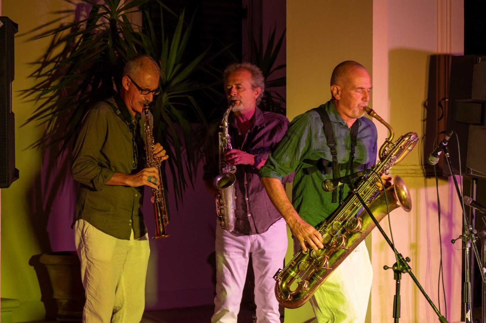 Tritticotrio in concerto